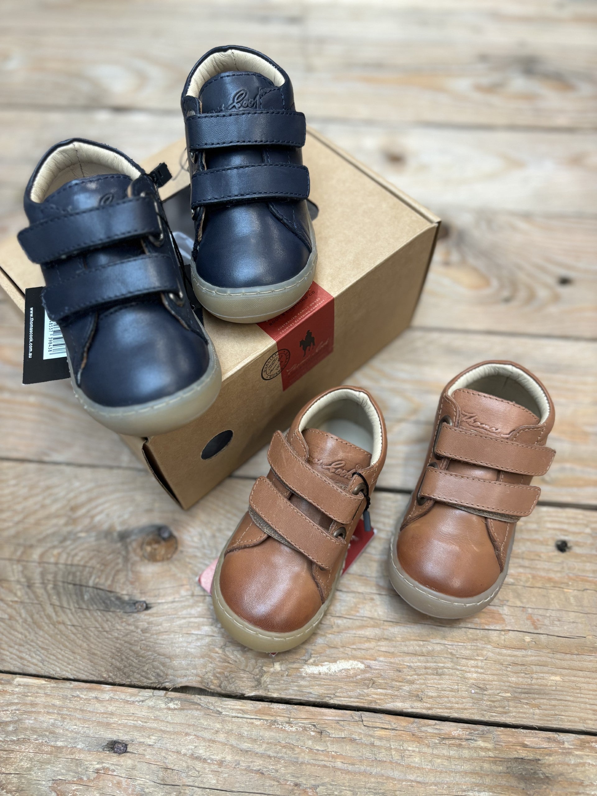 Infant Thomas Cook Nova Velcro Shoe (6729488105549)