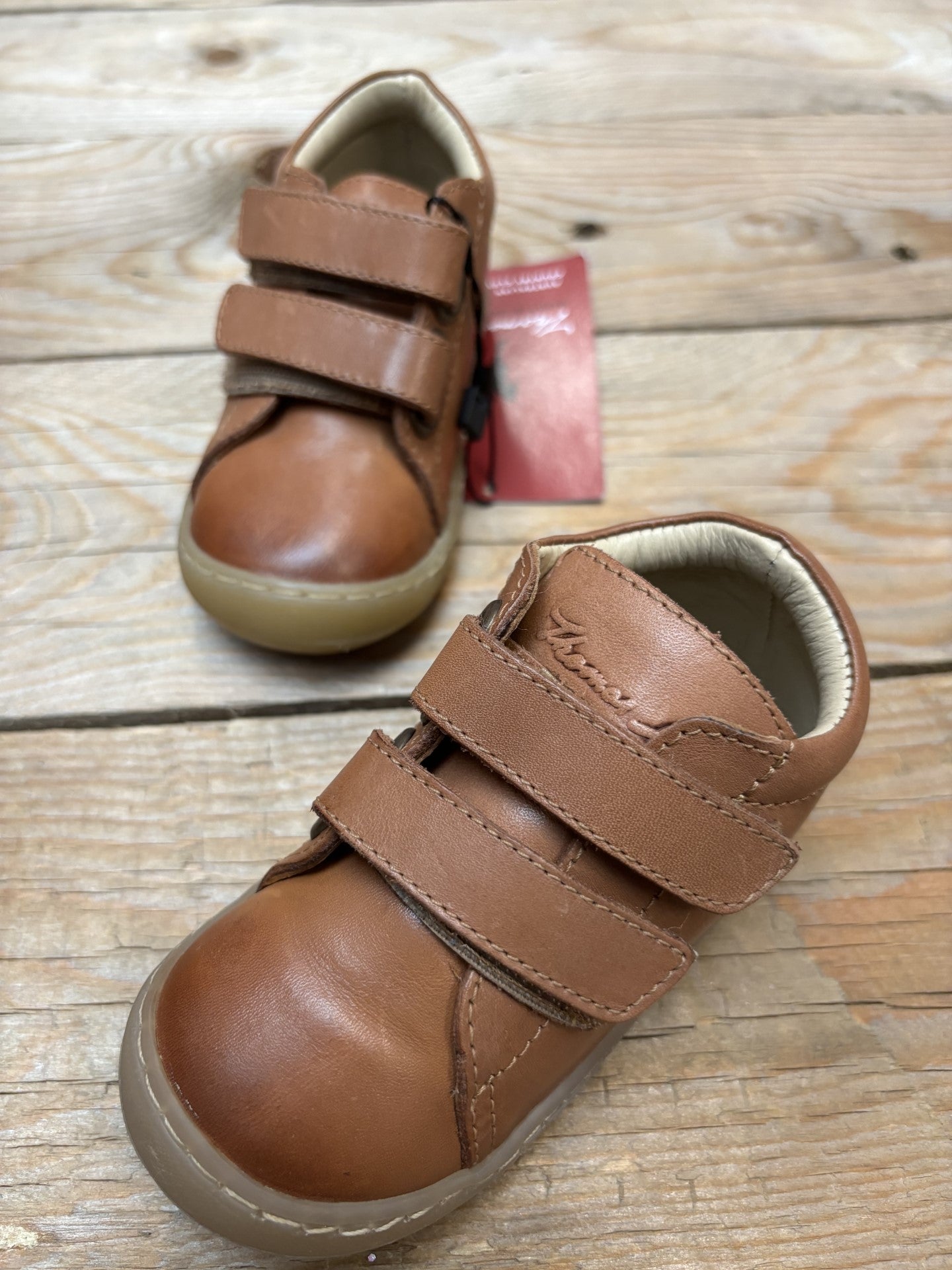 Infant Thomas Cook Nova Velcro Shoe (6729488105549)