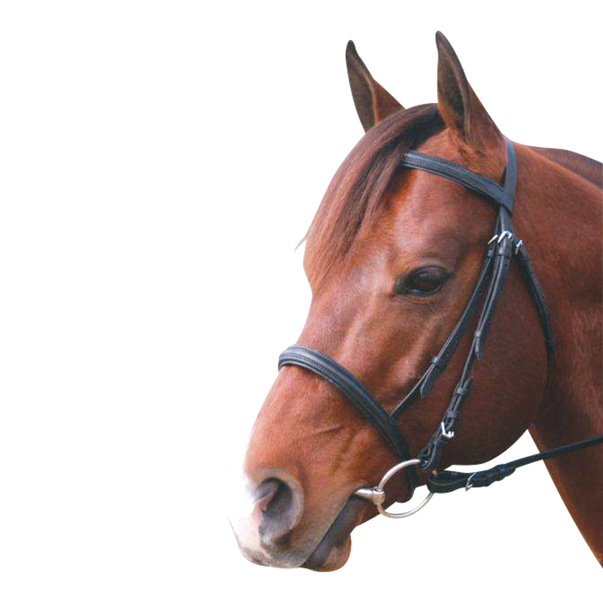 Eureka Snaffle Cavesson Bridle Brown (6613050196045)