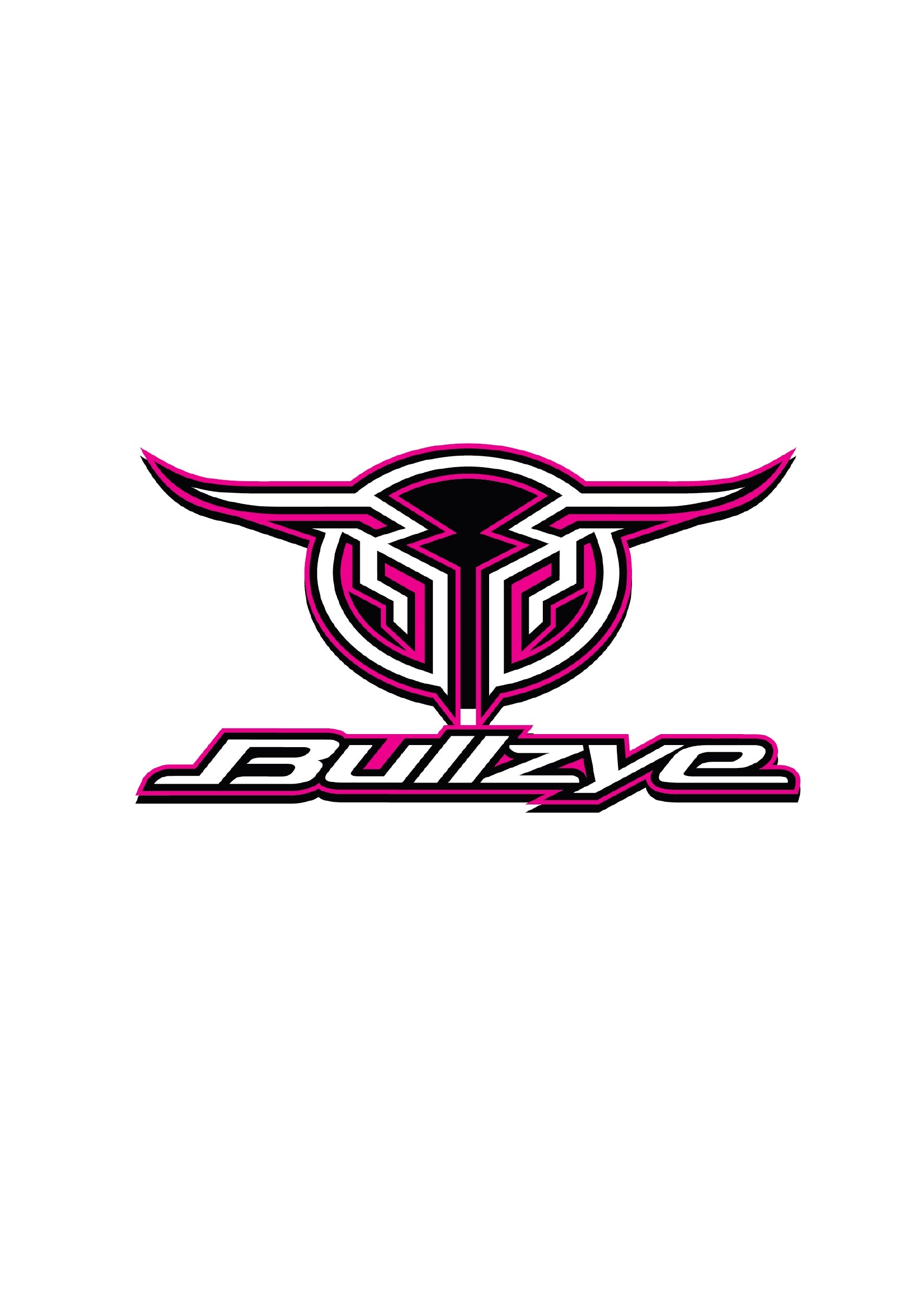 Bullzye Logo Sticker- SIZE A S20 (4870793461837)