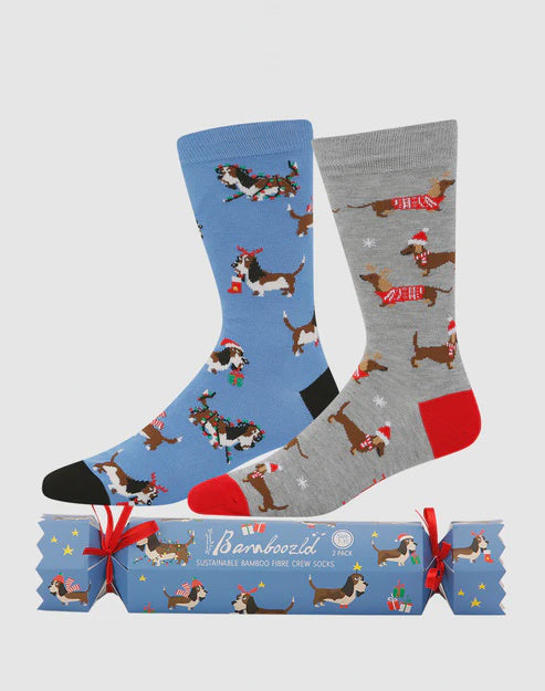 Mens Bamboozld Hound 2pk sock Xmas Cracker (6931566133325)