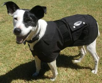 Nullarbor Oilskin Dog Coat (6613052555341)