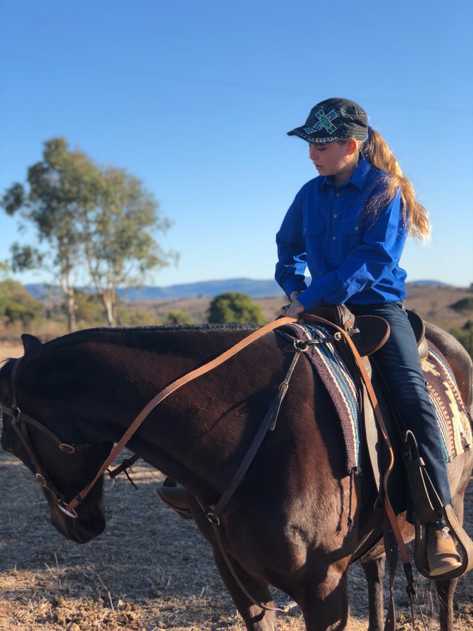 Saddlery