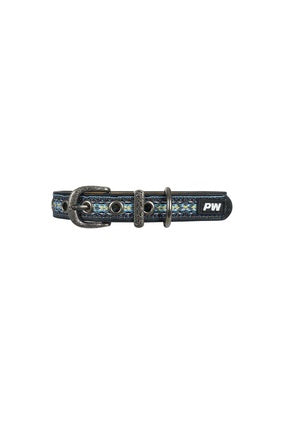 Pure Western Cosmo Dog Collar - Blue or Pink
