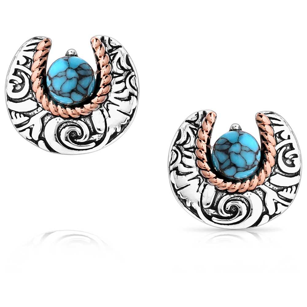 Montana Silver Luck of the Pure Earrings (7497067003981)