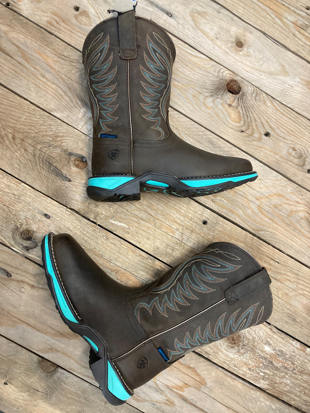 Womens Ariat Anthem H20 - Dark Roast (6952172060749)