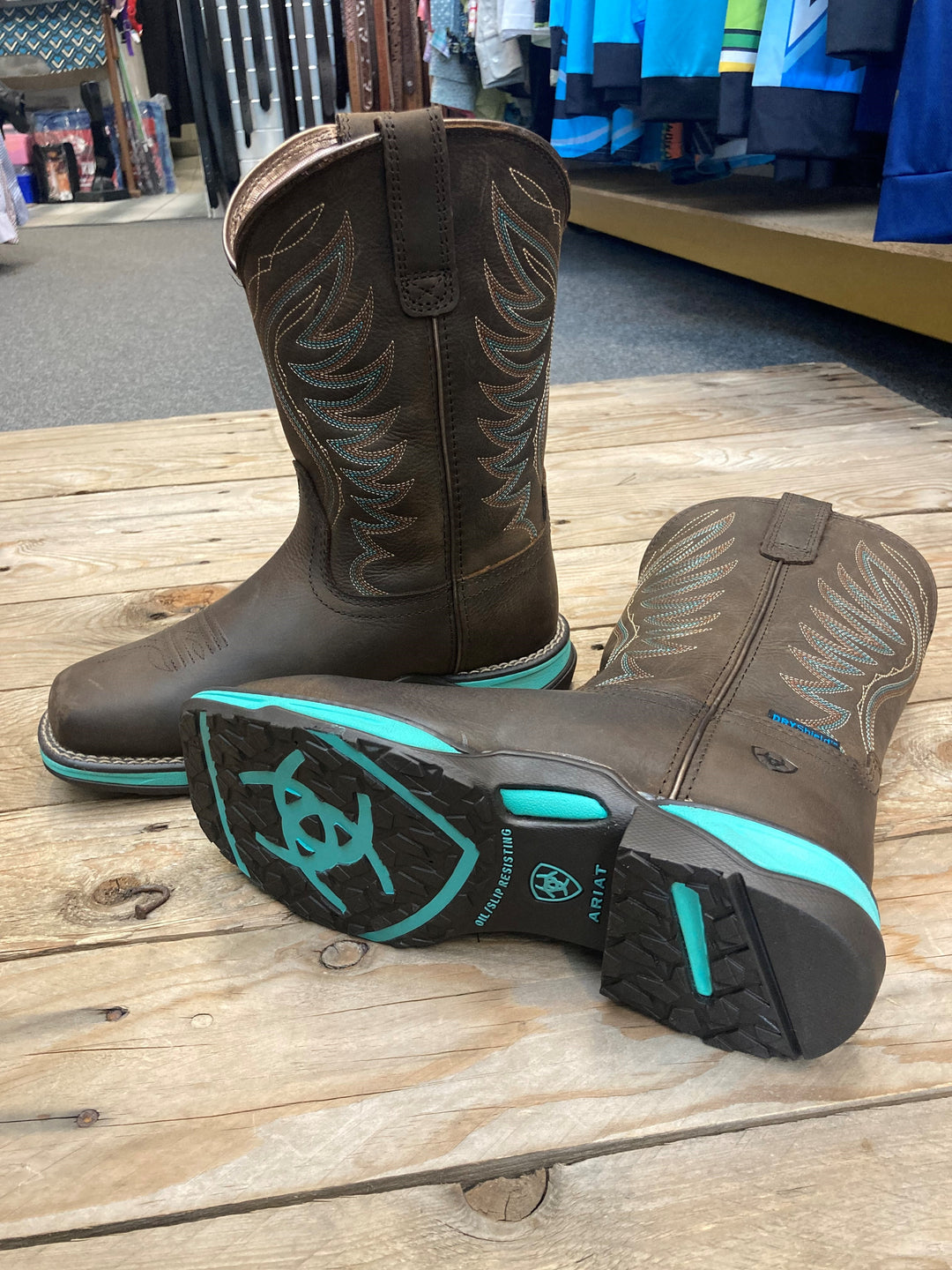 Womens Ariat Anthem H20 - Dark Roast (6952172060749)
