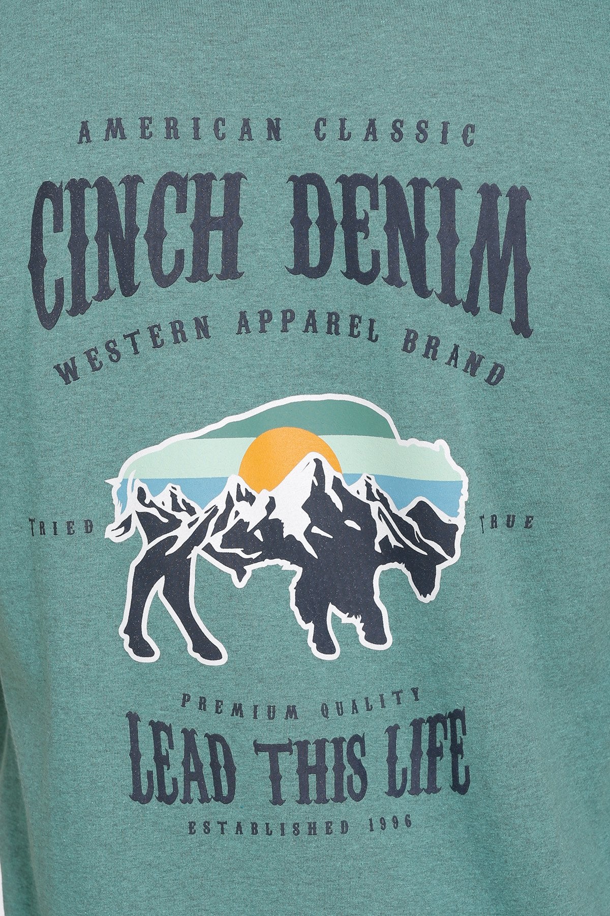 Mens Cinch Lead This Life Bison Tee Tshirt - Emerald (6852747657293)