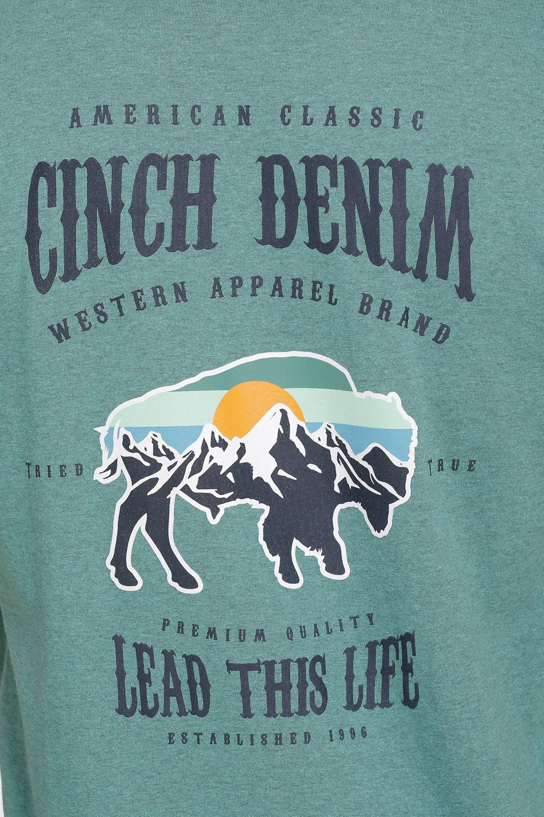 Mens Cinch Lead This Life Bison Tee Tshirt - Emerald (6852747657293)