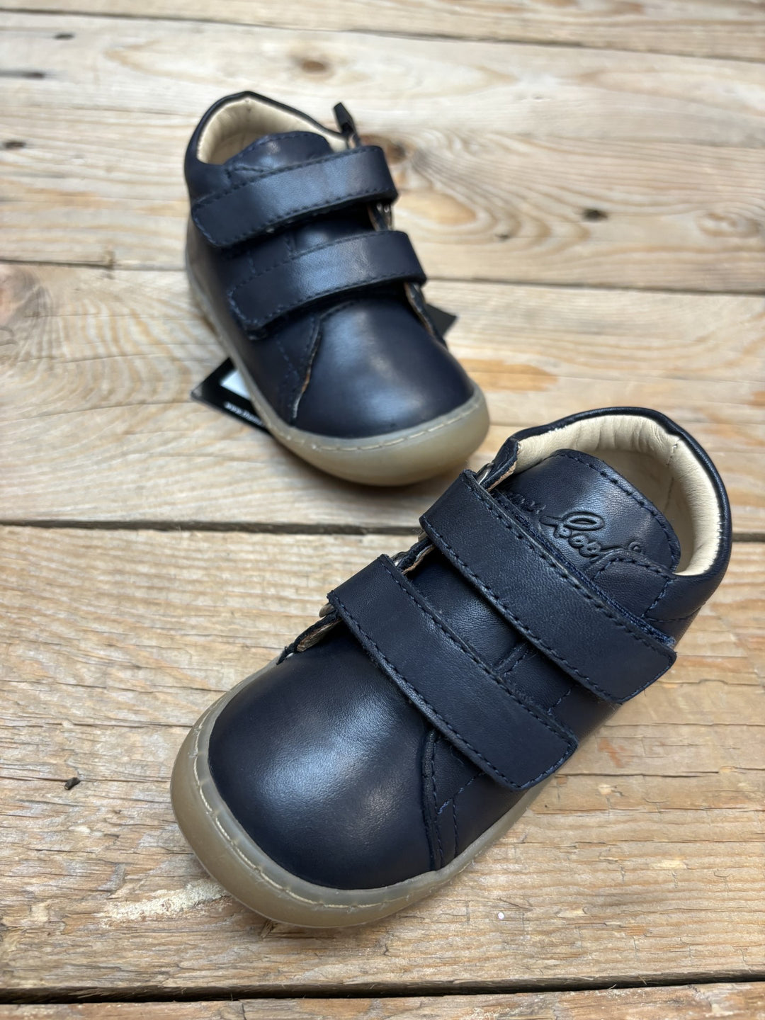 Infant Thomas Cook Nova Velcro Shoe (6729488105549)