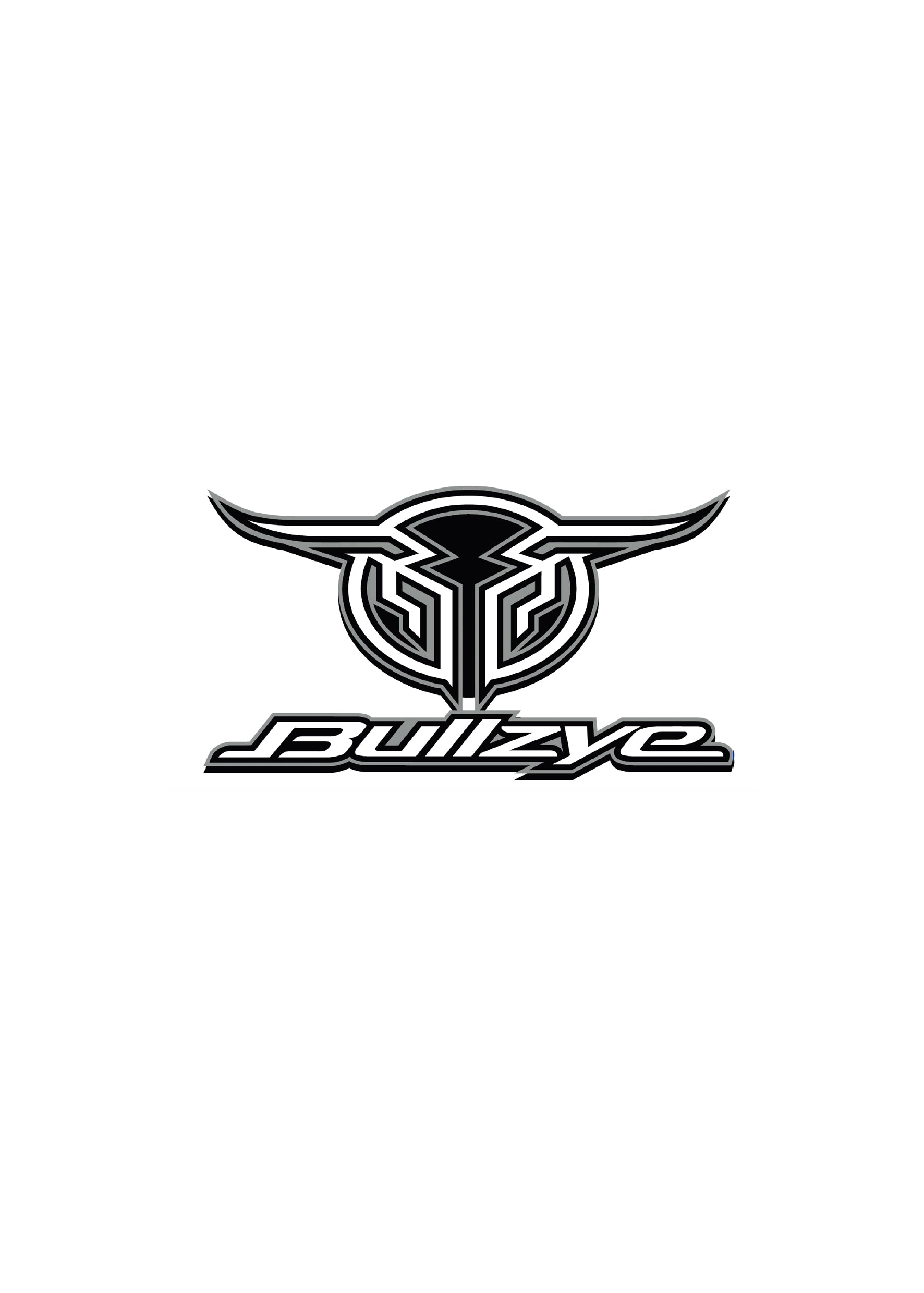 Bullzye Logo Sticker- SIZE B S20 (4870793494605)