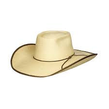 Sunbody Palm Hat Alex- Brown Binding (3762231935053)
