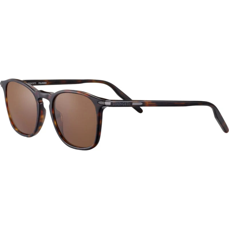 Serengeti Sunglasses - Delio - Shiny Dark Havana 8949 (6858374545485)