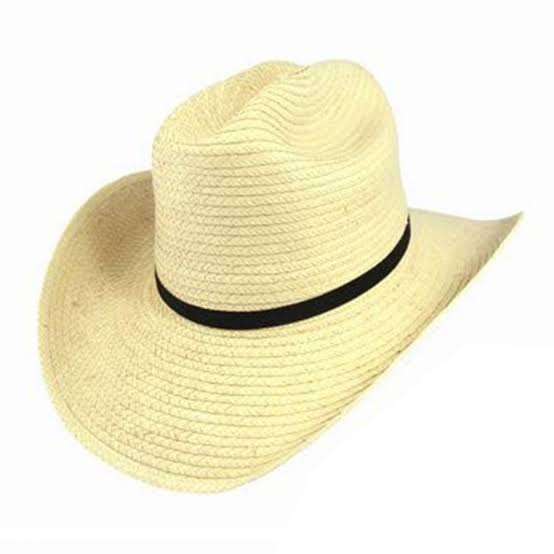 Sunbody Palm Hat Kids Cattleman assorted (4337011949645)