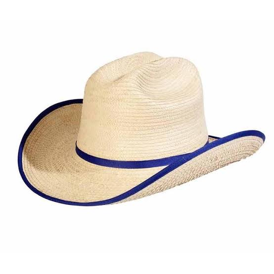 Sunbody Palm Hat Kids Cattleman assorted (4337011949645)